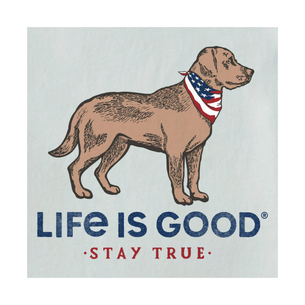 Life Is Good Men's Stay True Dog Long Sleeve Crusher Tee - Fog Gray FINAL SALE - Lenny's Shoe & Apparel