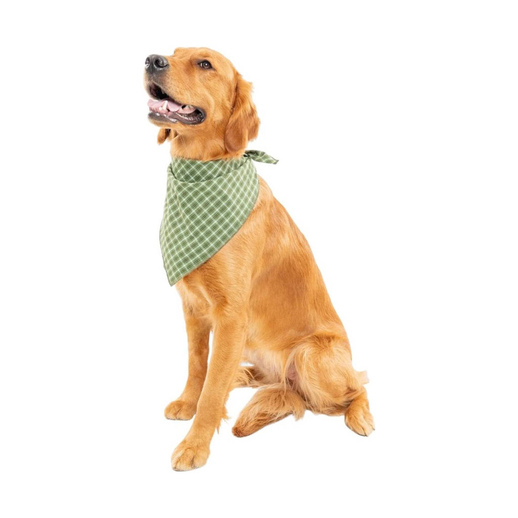 Insect Shield Trail Dog Bandana - Green - Lenny's Shoe & Apparel