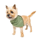 Insect Shield Trail Dog Bandana - Green - Lenny's Shoe & Apparel