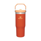 Stanley Iceflow Flip Straw Tumbler 30 OZ - Tigerlily - Lenny's Shoe & Apparel